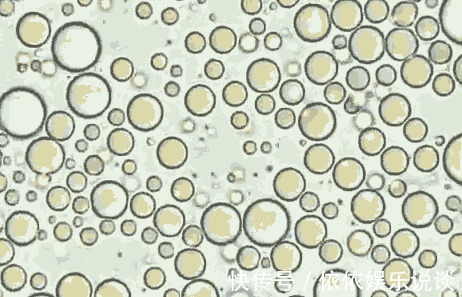 宝妈|当母乳被放大1000倍在显微镜下轻微蠕动,纯净到让人难以置信