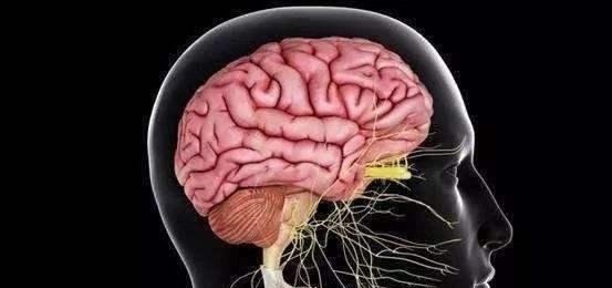 寿命长不靠多睡觉,也不靠多走路,而是坚持这3件事,健康又长寿