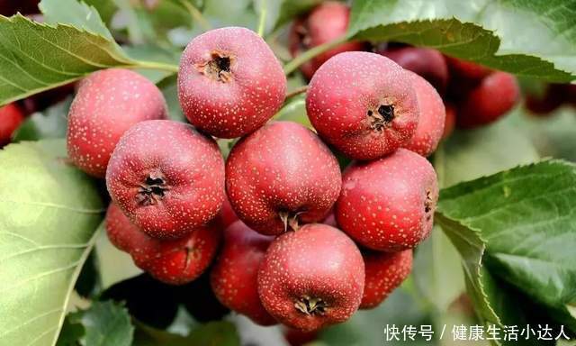 4种东西,“激活”血栓,不想心梗、脑梗找上门,尽量少碰