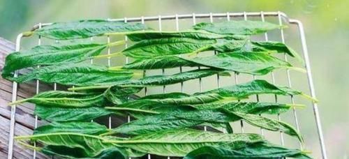 排毒养颜|女人都想有个好皮肤，可常吃以下蔬菜，祛皱润肤，延缓衰老