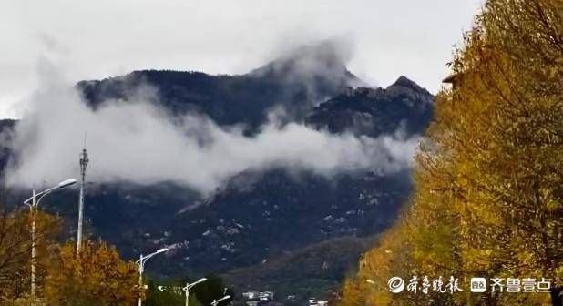 齐鲁壹点|壹图集丨立冬初雪飘，泰山红门别样美