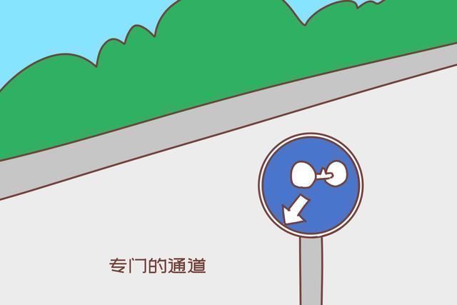 孩子|国外已经禁止的“危险玩具”,中国家长却很爱买,坑娃还不自知