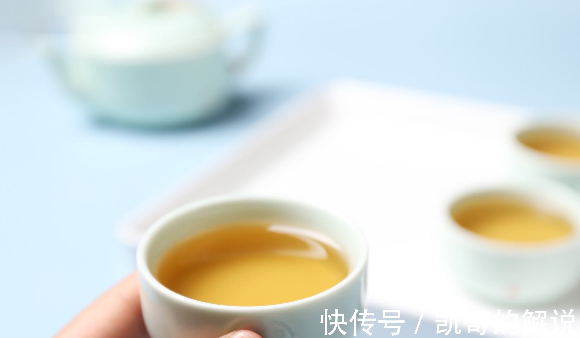 白毫银针!白毫银针和白牡丹区别有哪些?哪种更好喝?