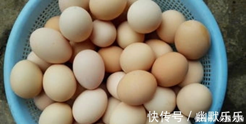 营养|洋鸡蛋和土鸡蛋,哪个更有营养,可能你弄错了!