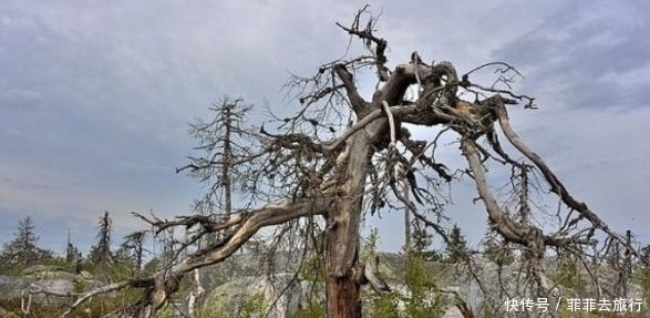 看起来不太可能的地方,现实中确存在着