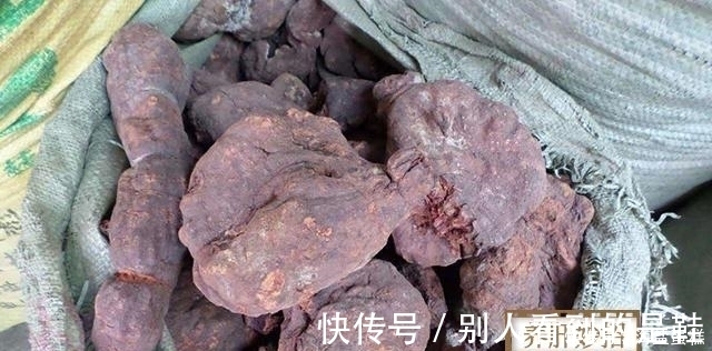 免费|最伤肝的三味中药,第一珍贵,第二免费,第三太残暴