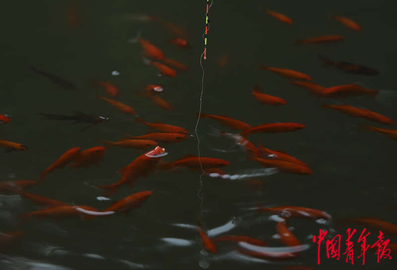 秋日渔趣 全网搜