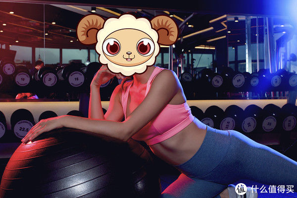 背阔肌|百元内最高效划算减肥、燃脂、塑身器械推介，瘦起来效果挡不住（动图多慎重）