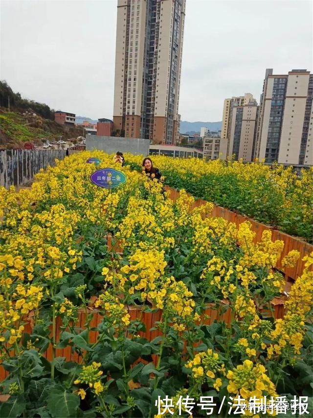 美成仙境!巴中通江“春天的颜色”来了