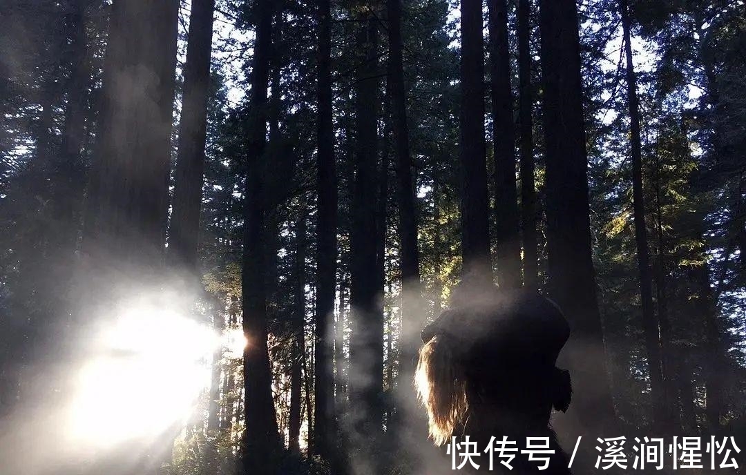 虎筋$清朝故事一则:采参人奇遇记