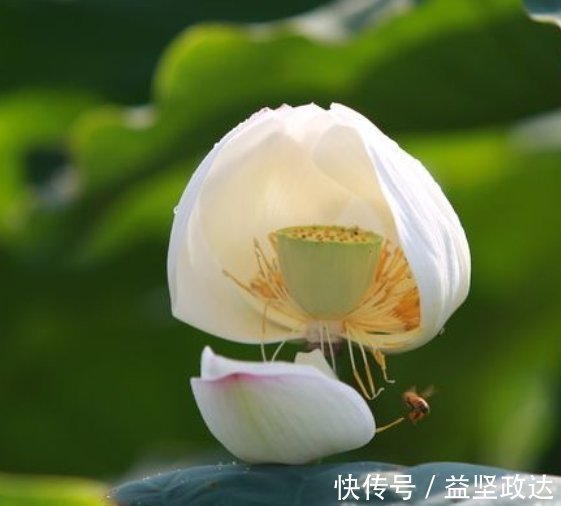 锦衣玉|今年开始，横财光顾家门，从此不过苦日子，财多人喜的3大属相