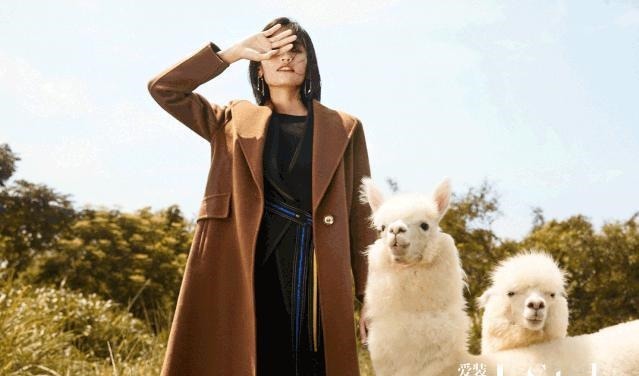 羊驼绒 这件羊驼绒大衣,比拥抱更暖!