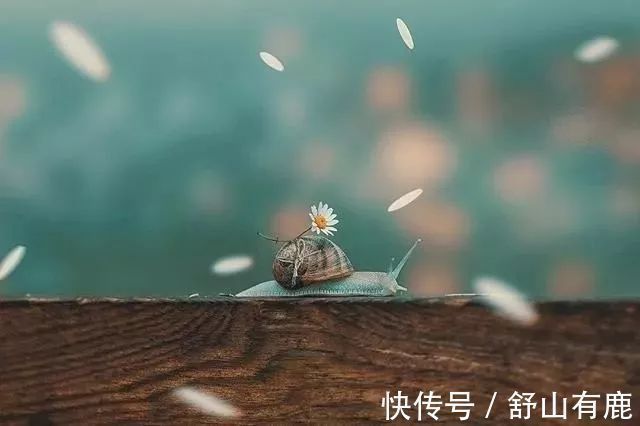 王侯将相@一首流传了二百多年的诗词,写尽了世间的真相,奈何世人糊涂至今