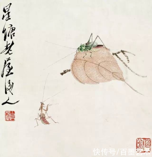 蝴蝶|齐白石草虫图200张，他把草虫画活了
