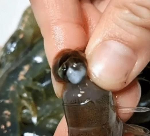 去虾线还在用牙签吗？大厨告诉我，去除虾线这样子做太简单了