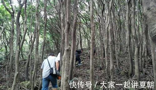 伤身|50岁后坚持跑步，究竟是养生还是伤身？54岁男子的经历，告知答案