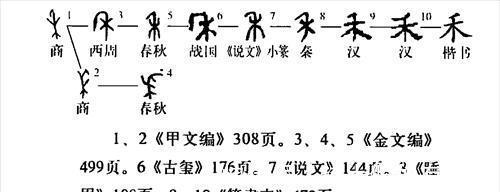 本意|“美”的本意是什么，甲骨文给出答案，推翻了羊大为美的结论