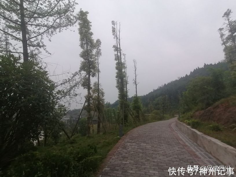 蓬安|逛游百牛赞歌广场，这里风景独好