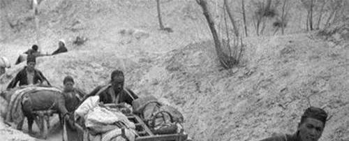  树皮|古代闹饥荒，人们宁愿啃树皮吃观音土，也不下河捕鱼，难道没鱼