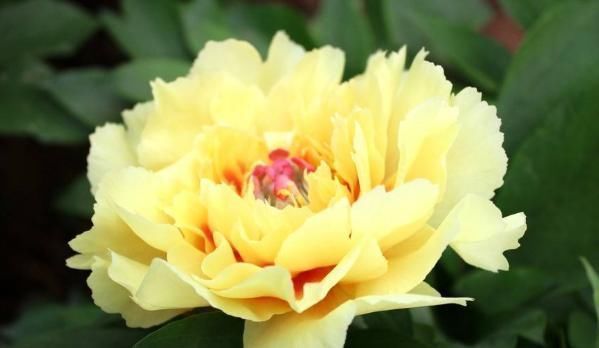 飞黄腾达&不善为人处世,背会这4句口诀,日后必定飞黄腾达