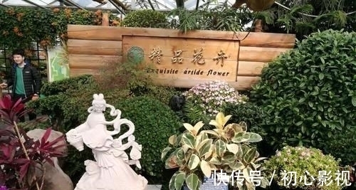 景点|北京一处植物天堂，有15个温室15个花园广场，就在四环内公交可达