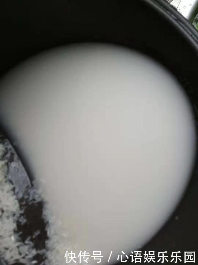 花肥其实自己就能做,省钱又好用,养花效果棒