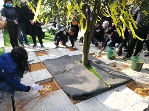  集体|一首《树葬》见证一场告别，21户树葬者家庭集体送别亲人