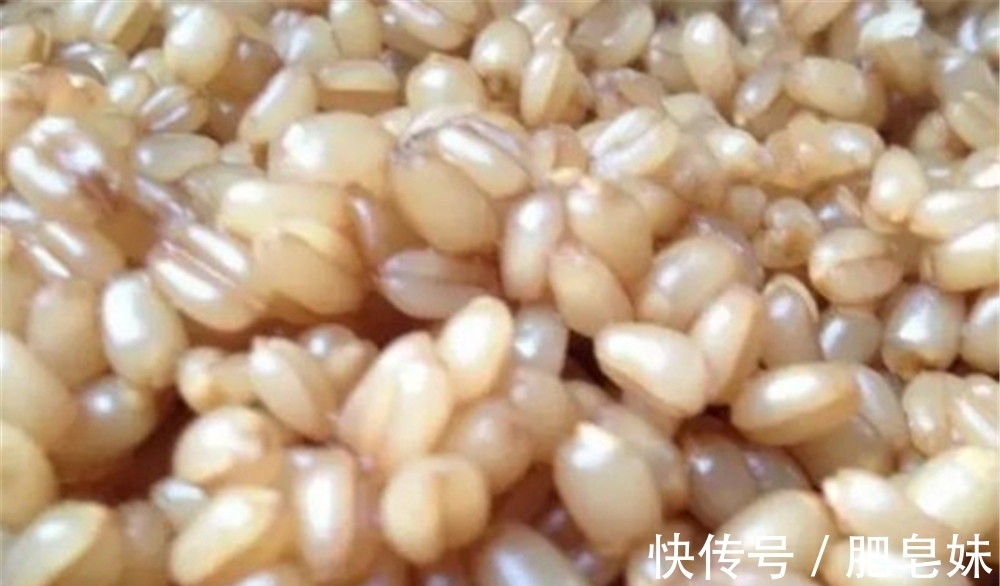 仲春适合野钓大板鲫,介绍几款自制“素饵”,钓大鲫鱼很给力!