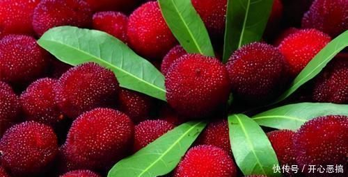 体质|会吃的人最健康，3种食物不可少，排毒养颜，改善体质