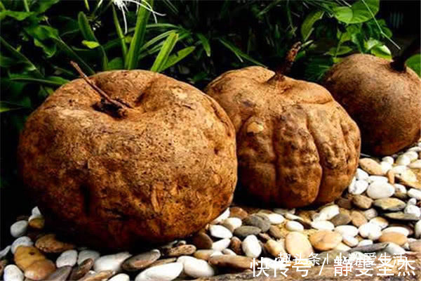 黑芝麻|女人缺少“雌激素”老得快,4种零食换着吃,补充胶原蛋白防衰老