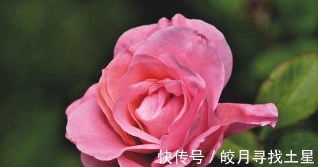 旧爱|7天以后，情缘天定，愿相伴天涯，旧爱牵手，冰释前嫌，恩爱永随