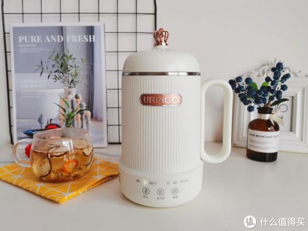 no，no|七彩叮当迷你养生壶，一壶暖时光，开启“轻”生活