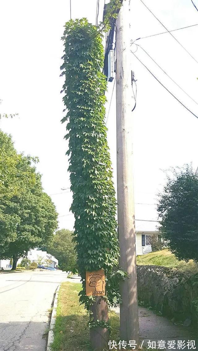 |22个搞笑创意，让你不由地感叹，这些人真无聊，不过我喜欢？