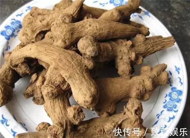 调理|脾胃不好“生百病”,一味中药,调理各种脾胃不适,一起了解下!