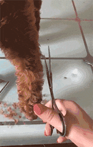 |搞笑gif:这是谁设计的,设计师快给我出来