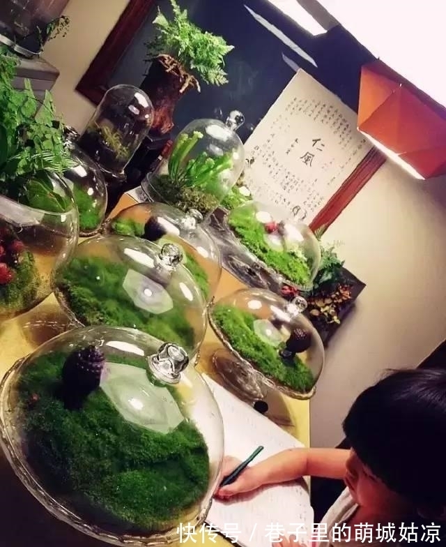 王昱珩|被《人民日报》表扬,1000万姑娘都想嫁,他将家变成热带雨林