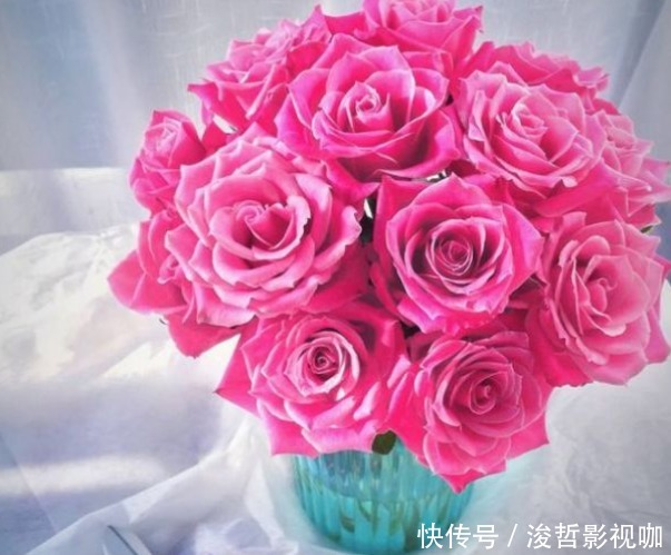 梦一场|“精品玫瑰”泰姬,花开如美姬,清奇美丽,可以说是养花必备!