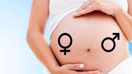 卵子|有三种女性更有可能生男孩,这不是迷信,而是有根据