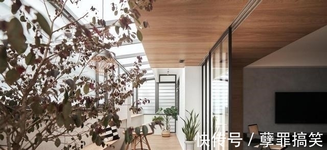 高低差|入户带院子,改阳光房做下沉式设计,封顶、分区,比传统院子实用