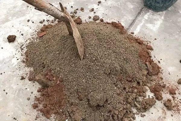 河沙才是养花万能土,家里的花,从不烂根、不黄叶