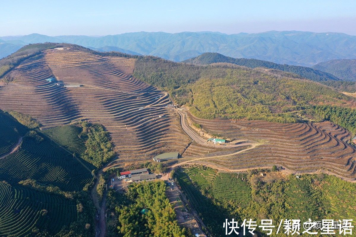 荒草$规模庞大的梯田，荒草绵延，种花草不火才怪