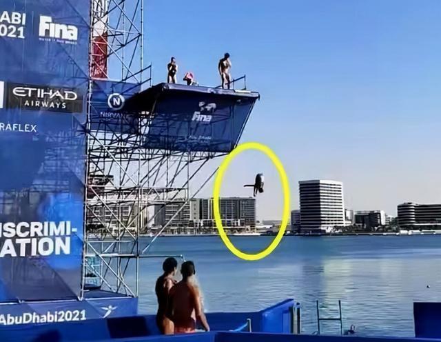 阿布扎比|往海里跳！全红婵表演赛跳台极其简陋，红姐这次出场费能拿多少？