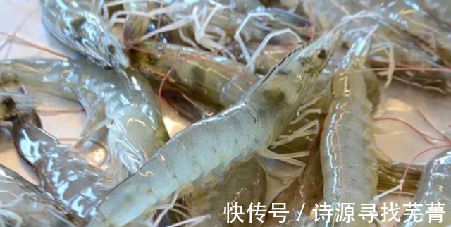 味美|开学了,多给孩子吃点虾,分享4种好做法,鲜香味美,孩子喜欢吃!