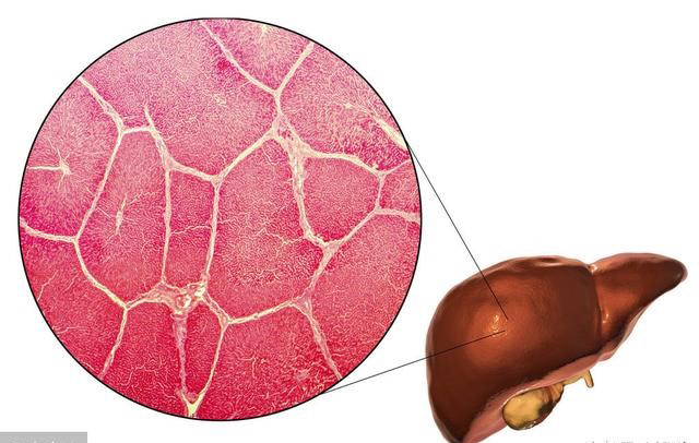三七|中药不可以随便吃,尤其是一些土方偏方,当心损害个别脏器