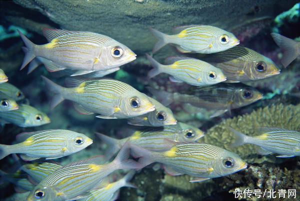 10人9不知：這些養(yǎng)生常識！太重要了