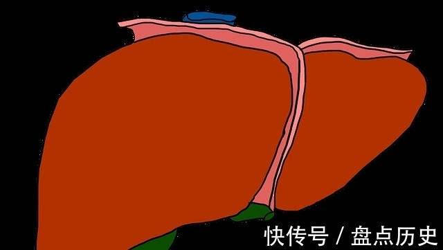 曹大爷|88岁大爷养肝经验:转氨酶几百,不要怕,做好3件事,慢慢降酶