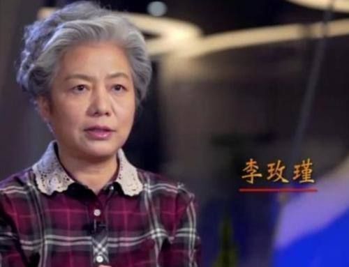 突破点|“育儿专家”李玫瑾女儿成才了吗？平时有理有据，结果却差强人意