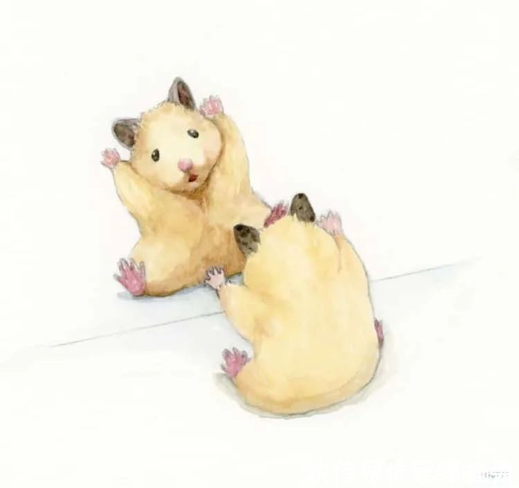 小仓鼠&他的插画主角是一只仓鼠,可爱的举动,萌到心都化了