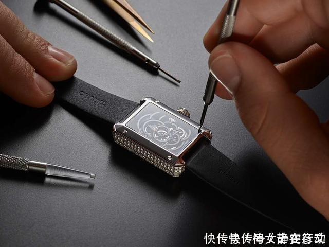 香奈儿又申请到素描山茶花商标，过程并不容易