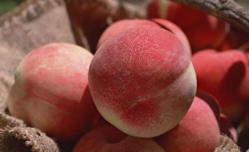 增强体质|女性不想肚子鼓鼓,常吃3种食物,减脂瘦身又补血,人越来越瘦